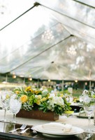 /album/svadba-na-prirode-2013/r15-jpg/