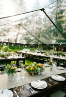 /album/svadba-na-prirode-2013/r16-jpg/